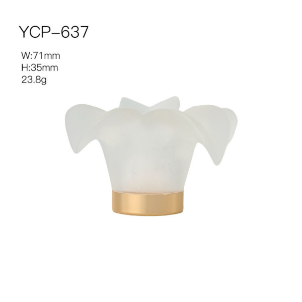 CAP-YCP-637