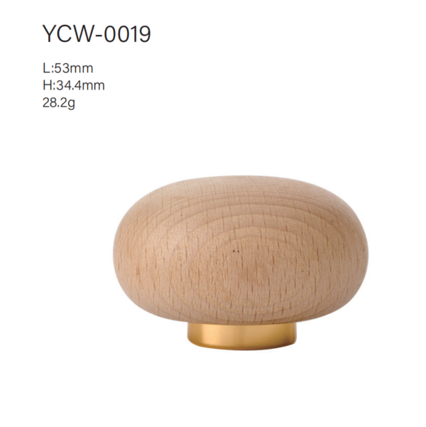 CAP-YCW-0019